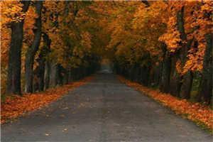 无人区韭菜完结小说许念秦野全章节免费阅读