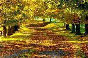 傲世猛龙完结小说_齐等闲玉小龙全章节阅读