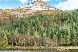 王平香兰神奇小刁民全文全章节目录阅读