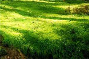 他对我撒了谎舒年蒋云澈推荐小说阅读