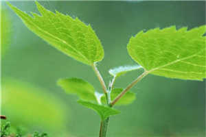 意外的体检全本小说_（陈佳顾霄）完整版阅读