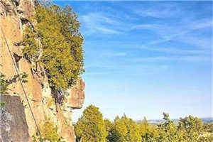  新上《病娇大佬的心尖儿丫头，别淘气》慕时忆顾怀钊小说免费阅读