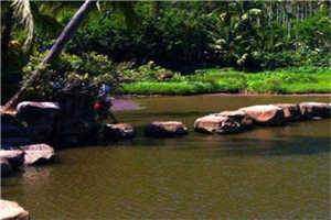 分手六年的前男友陈佳顾霄全文免费阅读