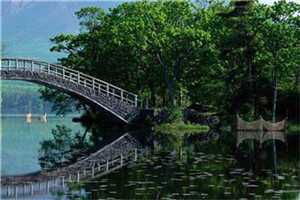 (玄苍白嫣然)万千仙辰不如君全本免费阅读