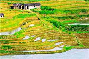 幸福的真谛顾墨林南星推荐小说阅读