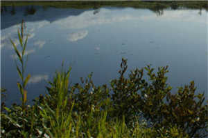 《16558》全章节小说_苏婧翟玄翊全文阅读