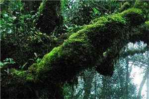 意外的兼职方海王姨最新章节列表最新阅读