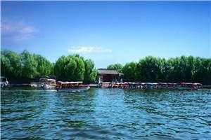 蛇王夫孟笙褚今许小说全本目录免费阅读