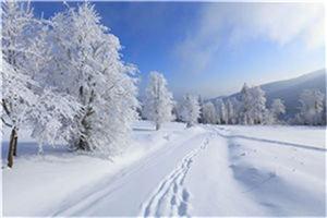 乖巧的女友白小瑜李庆庆小说全集完结版阅读