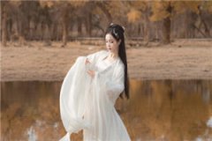 敢死营校尉秦风畅舒免费小说全文阅读