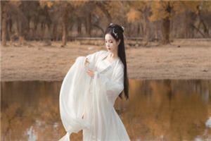 敢死营校尉秦风畅舒免费小说全文阅读