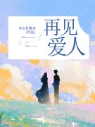 再见爱人夏雨晴陈宴最新章节，再见爱人在线阅读