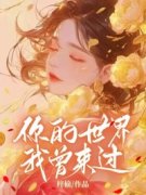 无删减小说《你的世界，我曾来过》精彩章节阅读