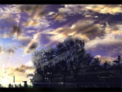 （快穿：心机小花妖她以一敌百花窈小说）快穿：心机小花妖她以一敌百花窈小