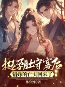 挺孕肚守寡后，错嫁的亡夫回来了全文目录_苏清婉顾昀瑞小说最新章节阅读