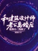 未删节和建筑设计师老公离婚后，他和小三悔疯了(顾城罗诗诗)小说APP内全章节