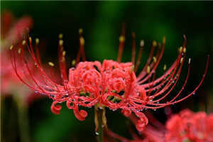 陈娟周康全章免费阅读全文