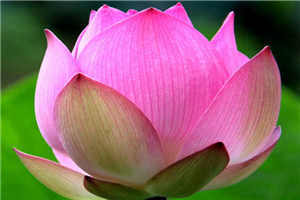 心情日记散文随笔600字