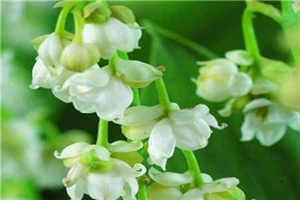 马蚤货你是不是欠c