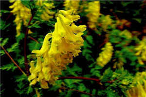 《相对湿度》可有可无txt