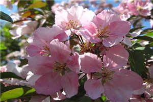 陈娟周康全章免费阅读全文