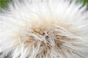 我的师父是王语嫣尽欢潮汐