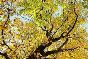 很有内涵的说说一句话 每天都是伴着无味的生活,无聊的节奏