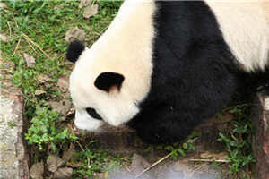 柳汐继子裴煜全文阅读免费