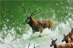 关于美食的搞笑说说:只要活着,就一定能遇见好吃的