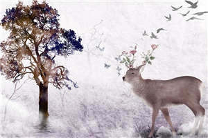 海棠书院自由阅读