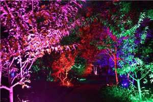 金刚杵直入莲花宫小f