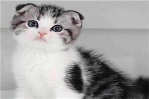 曾经的人，曾经的感觉