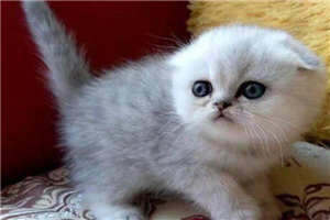 铭记党史·诵读经典84｜红旗渠，一座不朽的丰碑