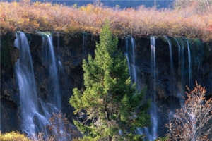 读蒋述卓散文随笔集《生命是一部书》