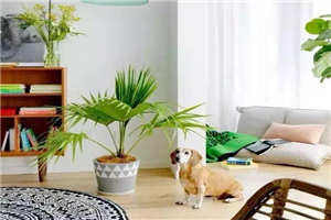 很搞笑的朋友圈的好句子 不用怀疑,我就是你梦中的穷人