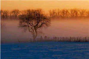 穿越农家三兄弟的幸福生活