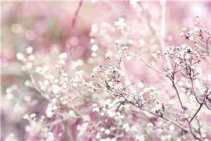 2014年手機市場：得�麊聽n錳煜�