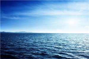 陪蚂蚁玩一会儿